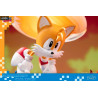 Sonic the Hedgehog - Sonic & Tails figure