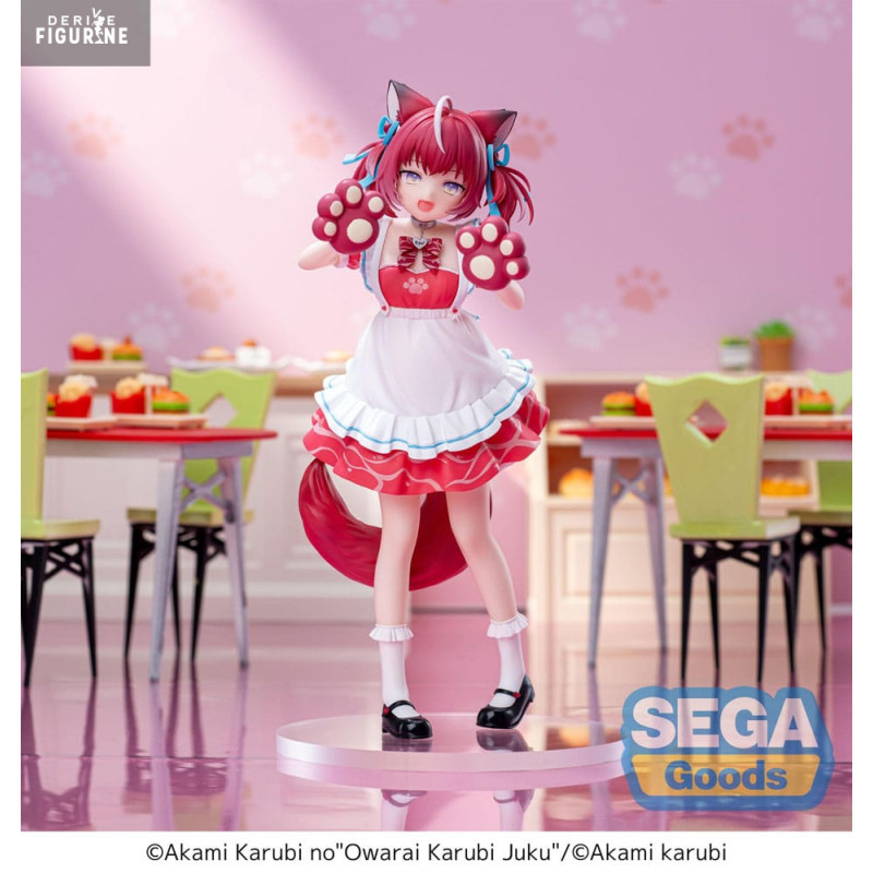 PREORDER - Figure Akami...