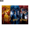 Harry Potter - Trois puzzles au choix