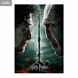 Harry Potter - Harry vs...