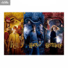 Harry Potter - Puzzle Ron, Harry & Hermione