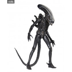 PRE ORDER - Alien 1979 -...