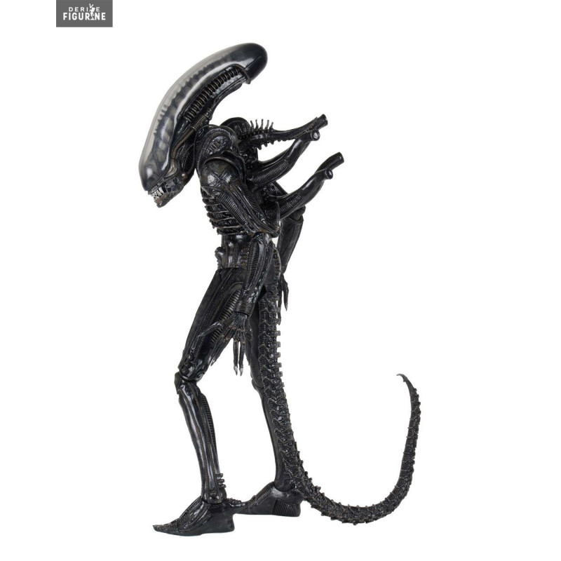 PRÉCOMMANDE - Alien 1979 -...