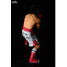 Hajime no Ippo - Figurine Ippo Makunouchi, fighting pose damage