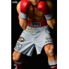 Hajime no Ippo - Figure Ippo Makunouchi, fighting pose damage