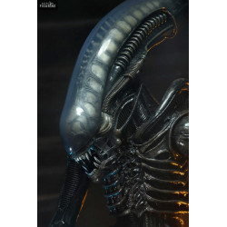 Alien 1979 - Figurine Big...