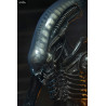 Alien 1979 - Big Chap figure, Ultimate 40th Anniversary