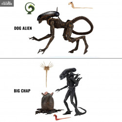 Alien - Big Chap or Dog...