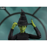 PRE ORDER - Wicked - Elphaba figure, S.H. Figuarts