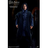 Harry Potter - Severus Snape figure ver. 2.0, My Favourite Movie