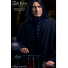 Harry Potter - Severus Snape figure ver. 2.0, My Favourite Movie