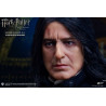 Harry Potter - Severus Snape figure ver. 2.0, My Favourite Movie