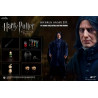 Harry Potter - Severus Snape figure ver. 2.0, My Favourite Movie