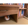 Natsume's Book of friends - Nyanko Sensei piggy bank / figure