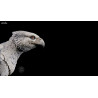 Harry Potter - Harry Potter & Buckbeak figure Limited Edition, Q-Fig Max