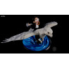 Harry Potter - Figurine Harry Potter & Buck Édition Limitée, Q-Fig Max