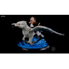 Harry Potter - Figurine Harry Potter & Buck Édition Limitée, Q-Fig Max