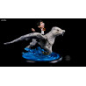 Harry Potter - Figurine Harry Potter & Buck Édition Limitée, Q-Fig Max