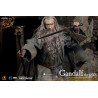 The Lord of the Rings - Gandalf figure