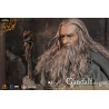 The Lord of the Rings - Gandalf figure