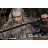 The Lord of the Rings - Gandalf figure