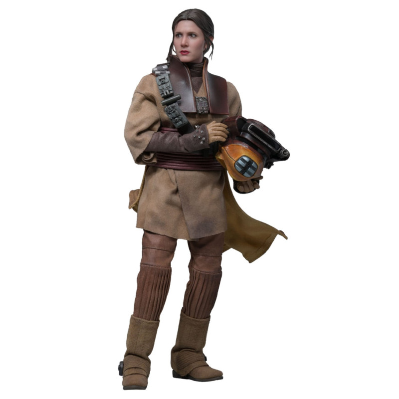 PRE ORDER - Star Wars Episode VI - Leia Organa figure (Boushh Disguise), Movie Masterpiece