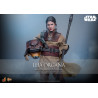 PRE ORDER - Star Wars Episode VI - Leia Organa figure (Boushh Disguise), Movie Masterpiece