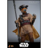 PRE ORDER - Star Wars Episode VI - Leia Organa figure (Boushh Disguise), Movie Masterpiece