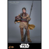 PRE ORDER - Star Wars Episode VI - Leia Organa figure (Boushh Disguise), Movie Masterpiece