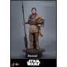 PRE ORDER - Star Wars Episode VI - Leia Organa figure (Boushh Disguise), Movie Masterpiece