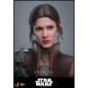 PRE ORDER - Star Wars Episode VI - Leia Organa figure (Boushh Disguise), Movie Masterpiece