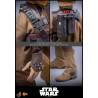 PRE ORDER - Star Wars Episode VI - Leia Organa figure (Boushh Disguise), Movie Masterpiece