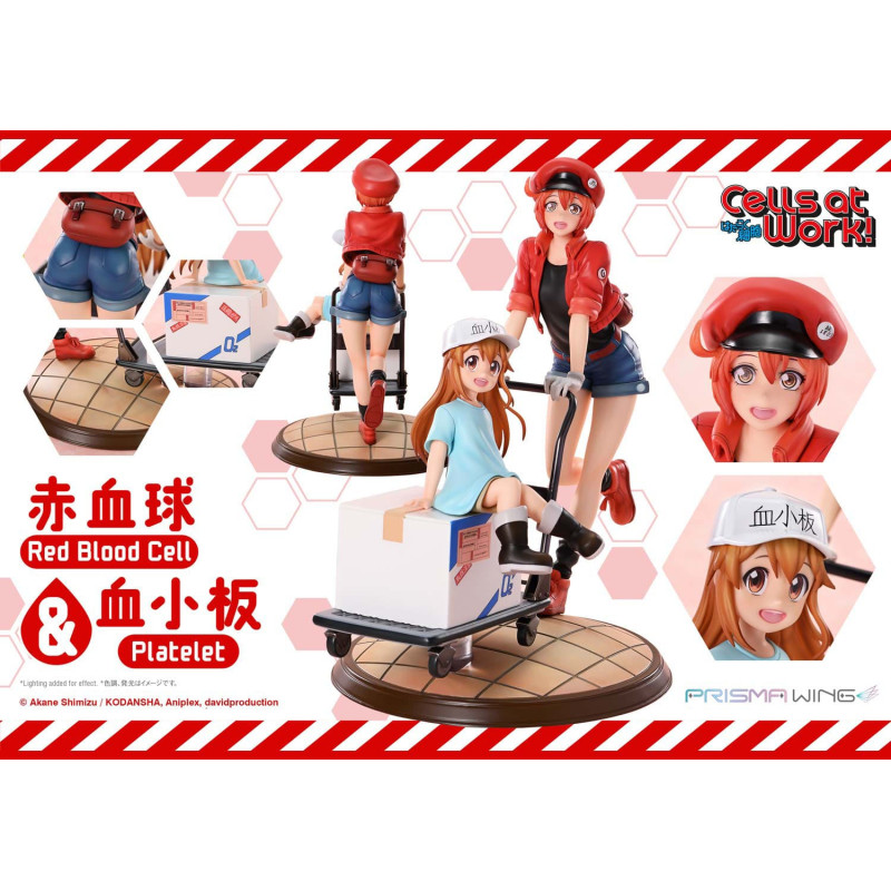 PRE ORDER - Cells at Work -...