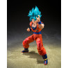 PRE ORDER - Dragon Ball Super - Super Saiyan God Son Goku figure (Blue Power Transcending Limits), S.H.Figuarts