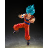 PRÉCOMMANDE - Dragon Ball Super - Figurine Super Saiyan God Son Goku (Blue Power Transcending Limits), S.H.Figuarts