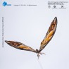 PRE ORDER - Godzilla x Kong: The New Empire - Mothra Premium Set figure, Exquisite Basic Series