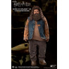 Harry Potter - Rubeus Hagrid 2.0 figure, My Favourite Movie