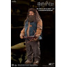 Harry Potter - Rubeus Hagrid 2.0 figure, My Favourite Movie