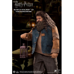 Harry Potter - Rubeus...