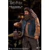 Harry Potter - Rubeus Hagrid 2.0 figure, My Favourite Movie