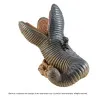 PRÉCOMMANDE - Dune - Figurine Sand Worm, Sofubi Fantastic
