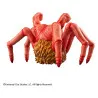 PRÉCOMMANDE - The Thing - Figurine Spider Head, Sofubi Fantastic