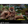 Star Wars Episode VI - Princess Leia, Wicket or Both figure, Movie Masterpiece