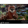 Star Wars Episode VI - Princess Leia, Wicket or Both figure, Movie Masterpiece