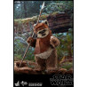 Star Wars Episode VI - Figurine Princesse Leia, Wicket ou Les deux, Movie Masterpiece