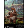 Star Wars Episode VI - Princess Leia, Wicket or Both figure, Movie Masterpiece