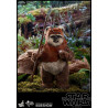 Star Wars Episode VI - Princess Leia, Wicket or Both figure, Movie Masterpiece