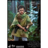 Star Wars Episode VI - Princess Leia, Wicket or Both figure, Movie Masterpiece