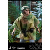 Star Wars Episode VI - Princess Leia, Wicket or Both figure, Movie Masterpiece