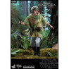 Star Wars Episode VI - Figurine Princesse Leia, Wicket ou Les deux, Movie Masterpiece